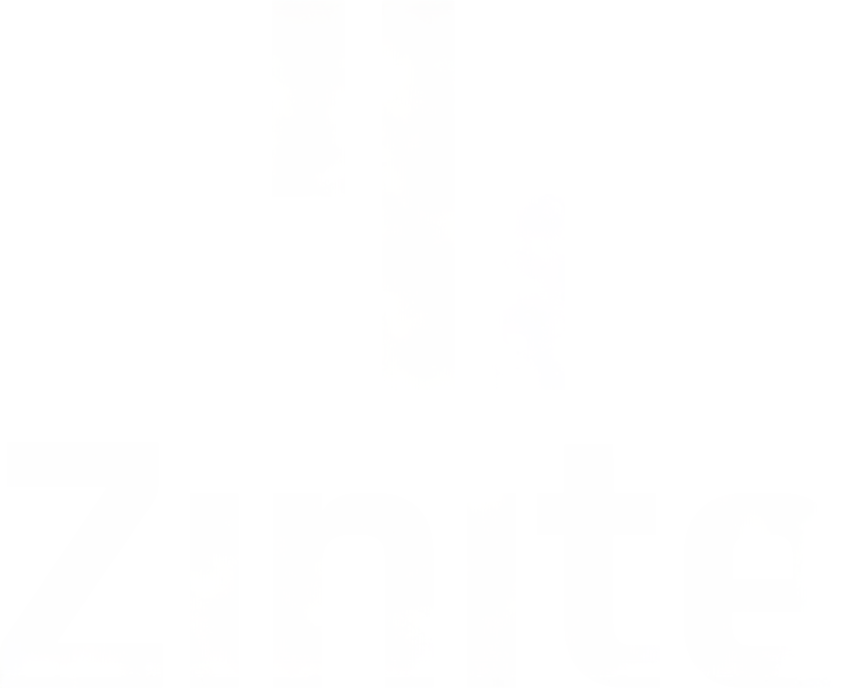 Zinite Corporation logo